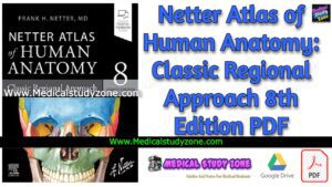 Netter Atlas of Human Anatomy: Classic Regional Approach 8th Edition PDF Free Download
