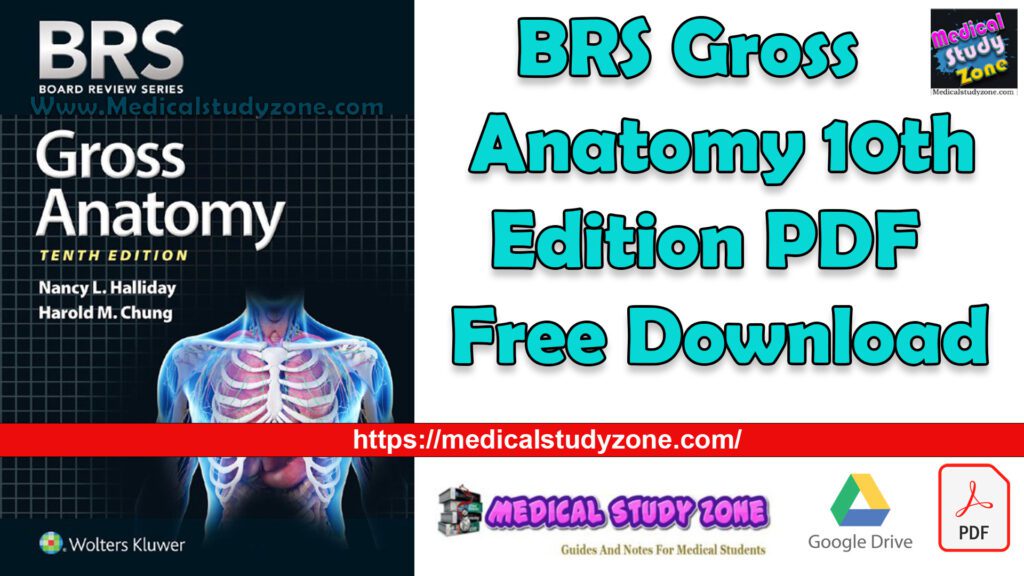 BRS Gross Anatomy 10th Edition PDF Free Download [Direct Link ...