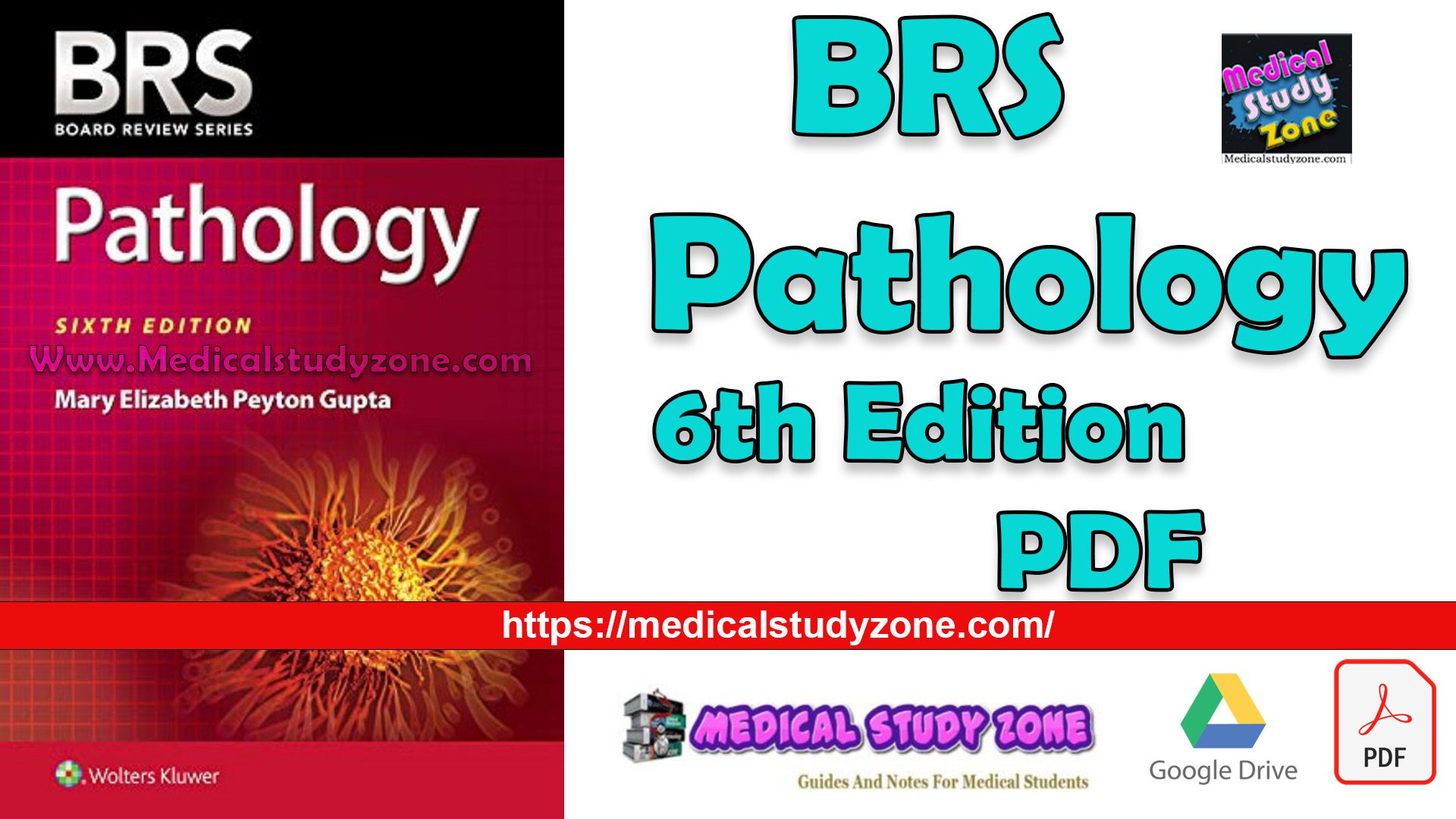 BRS Pathology 6th Edition PDF Free Download