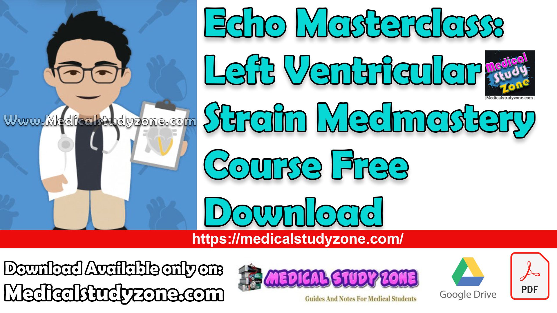 Echo Masterclass: Left Ventricular Strain Medmastery Course Free Download