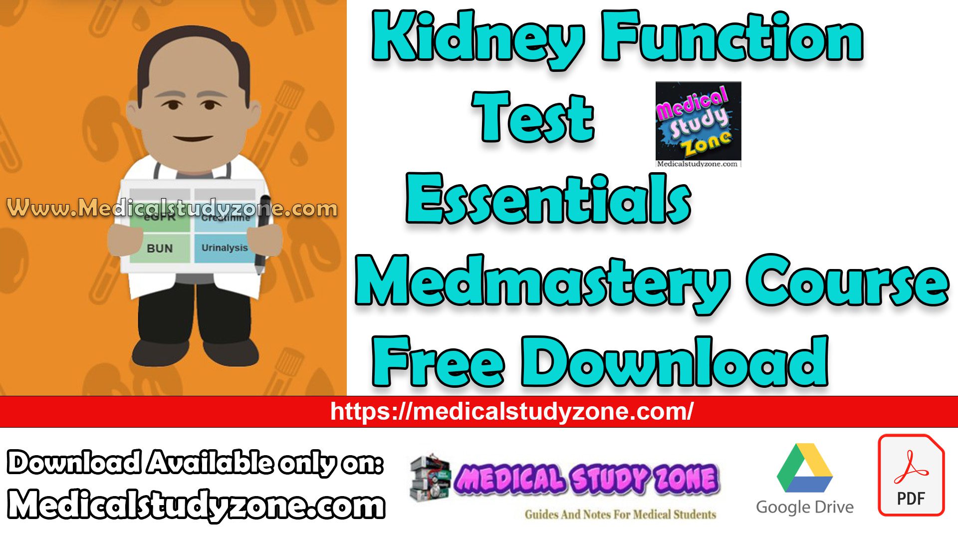 Kidney Function Test Essentials Medmastery Course Free Download