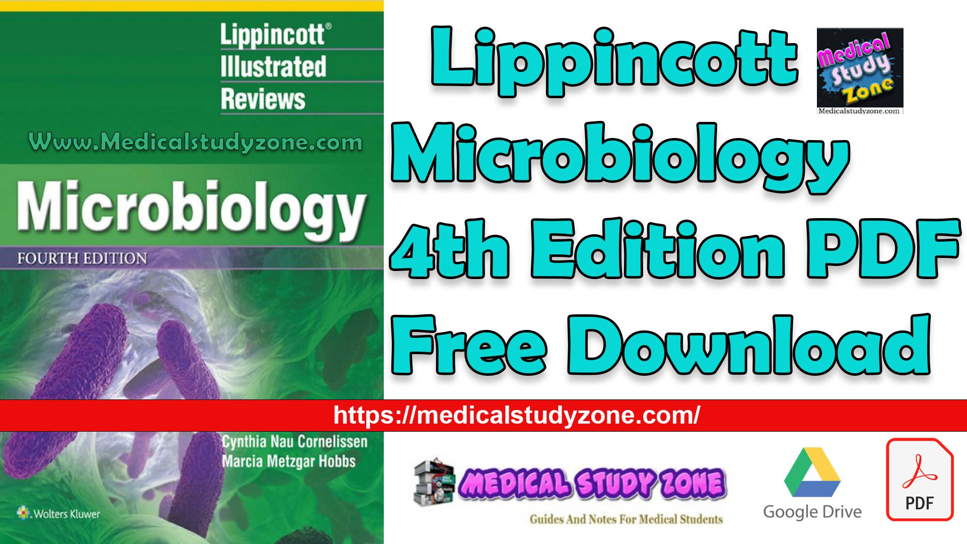 Lippincott Microbiology 4th Edition PDF Free Download