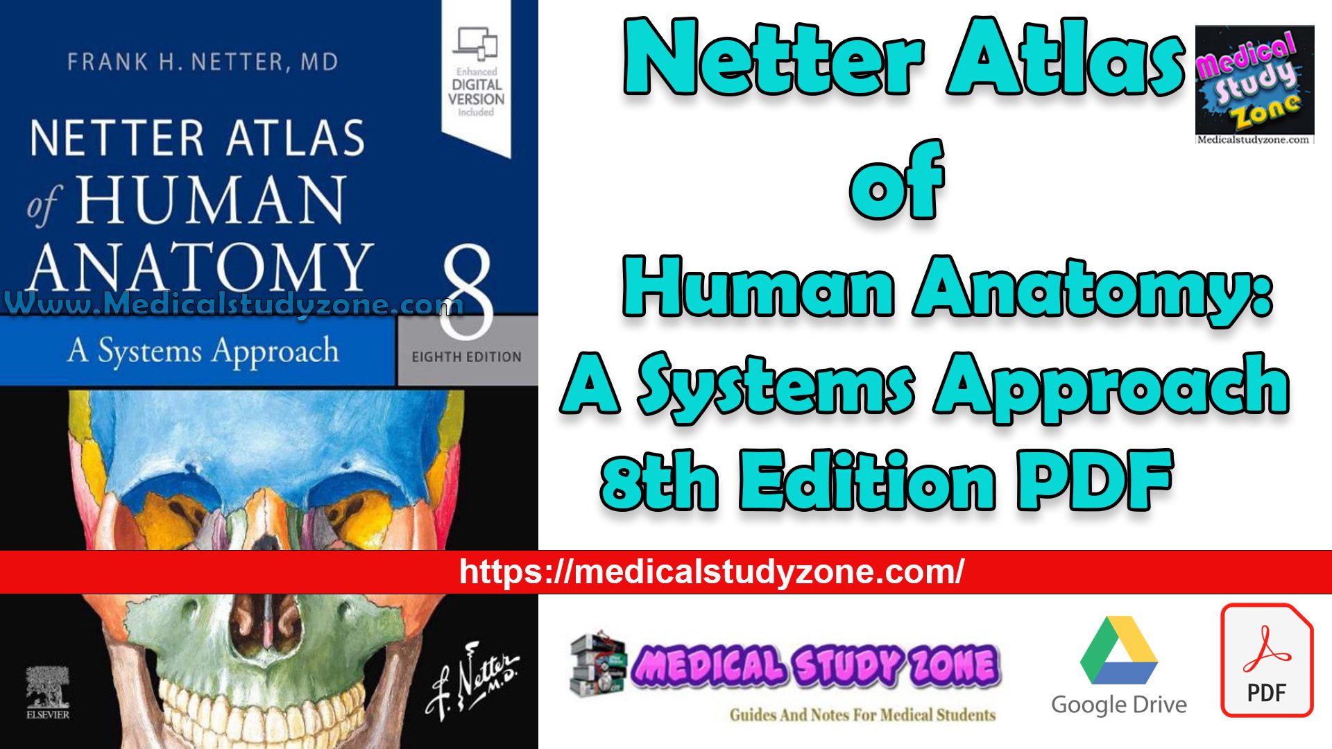 Netter Atlas of Human Anatomy: A Systems Approach 8th Edition PDF Free Download