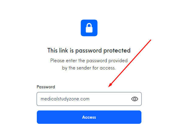 Password to access internxt