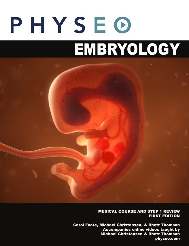 Physeo Embryology PDF Free Download