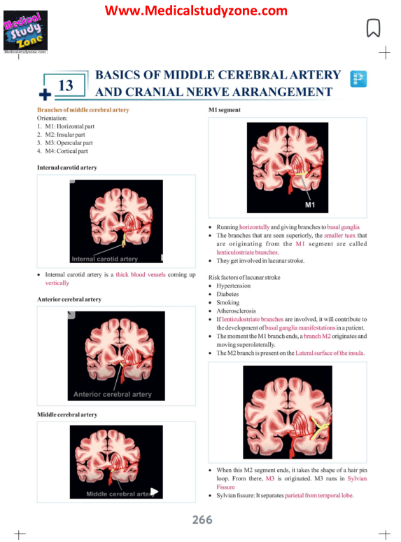 Prepladder 5.0 Neurology Notes PDF Free Download cover