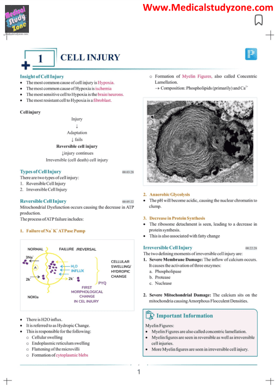 Prepladder 5.0 Pathology Notes By Dr Preeti Sharma Free Download