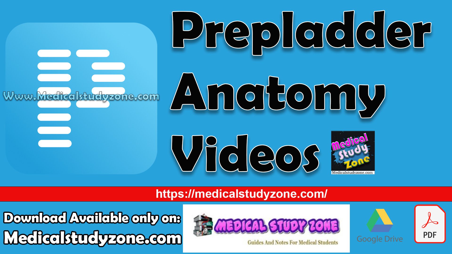 Prepladder Anatomy Videos Free Download