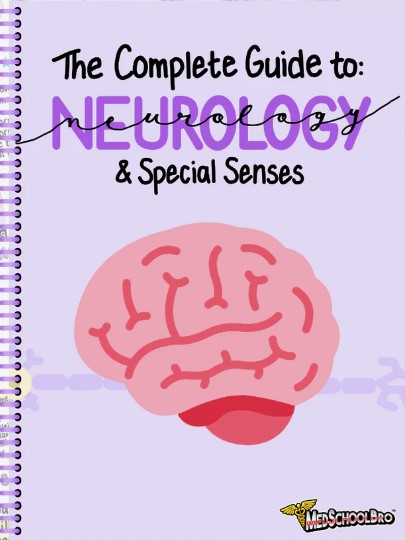 neurology board review an illustrated study guide free download