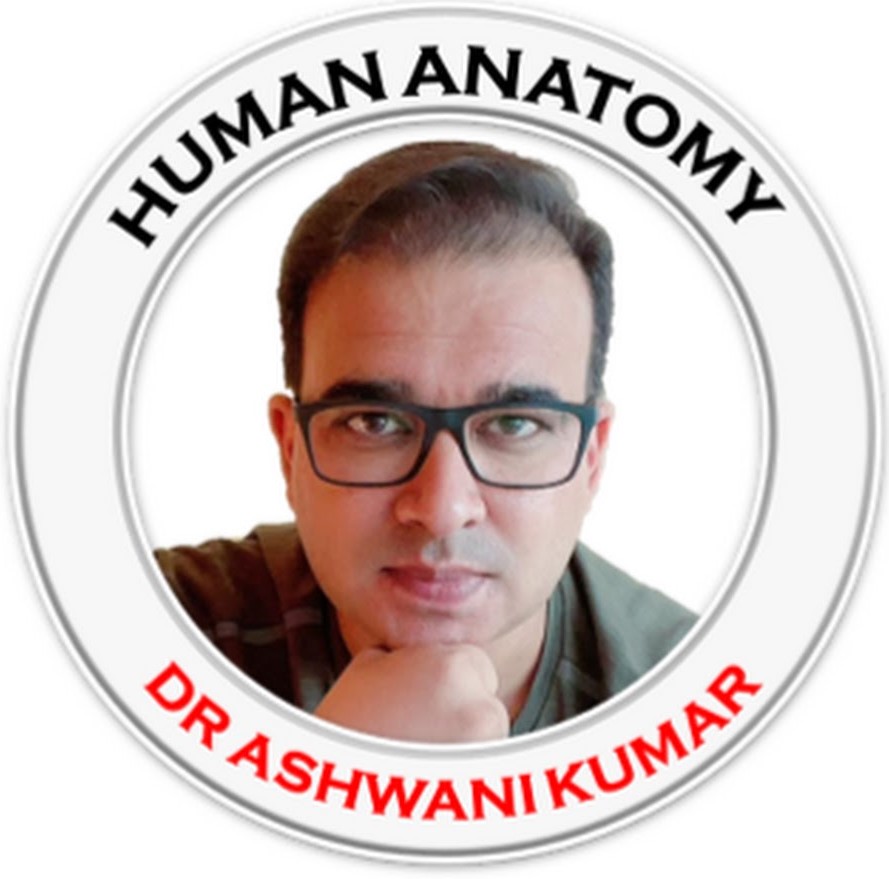 Dr Ashwani Kumar Anatomy Videos + Quick Recap Free Download cover