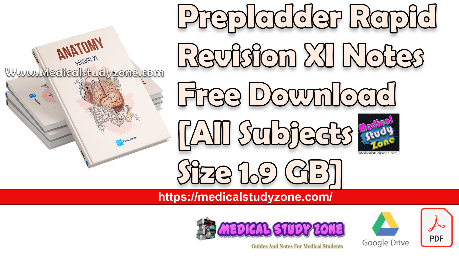 Prepladder Rapid Revision XI Notes Free Download [All Subjects Size 1.9 GB]